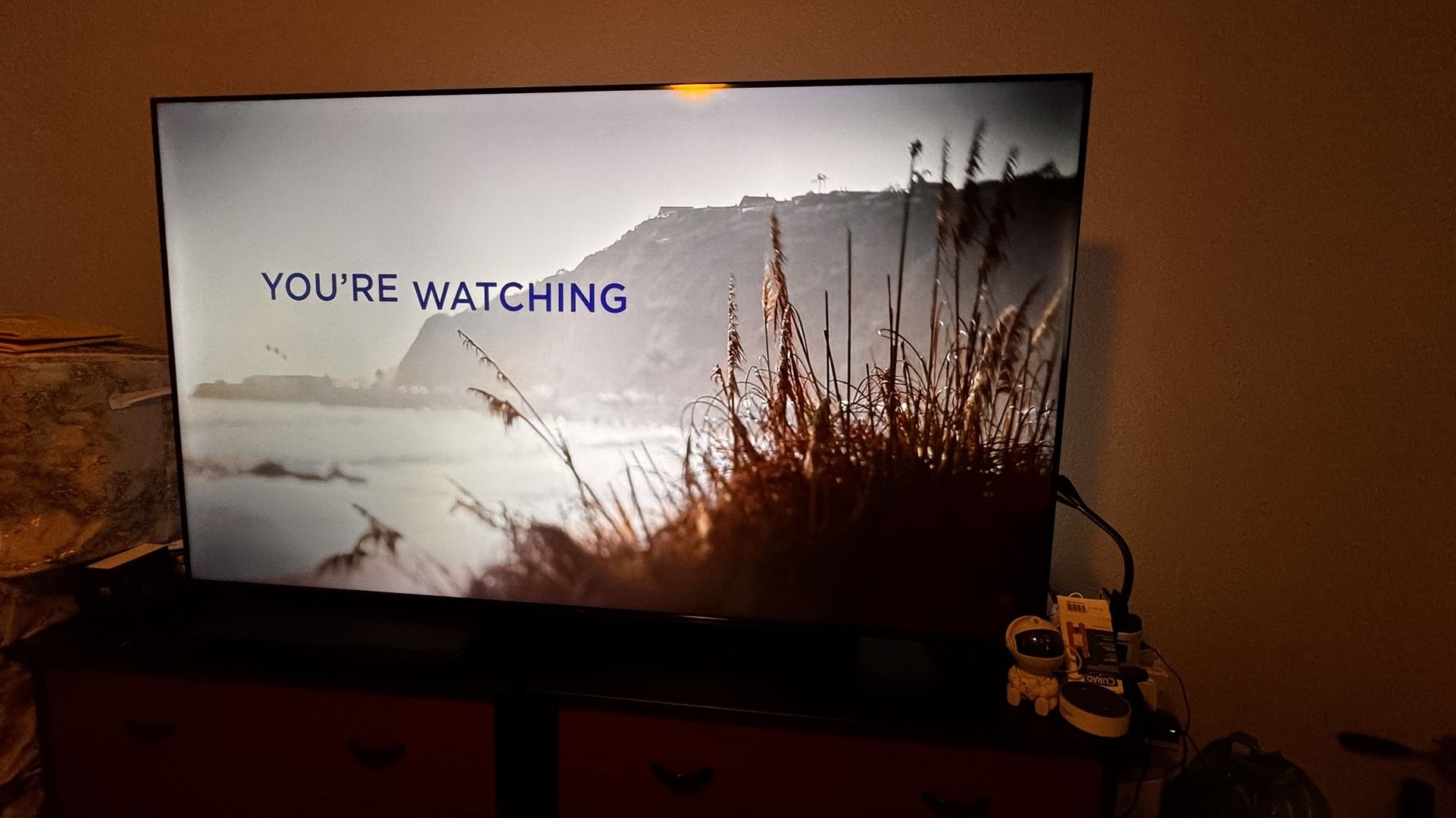 65 Inch SMART TV TCL ROKU