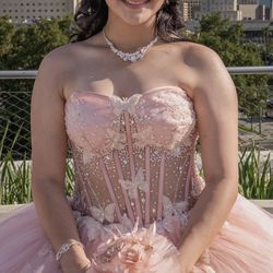 Quince Butterfly Pink Dress & Petti Coats 