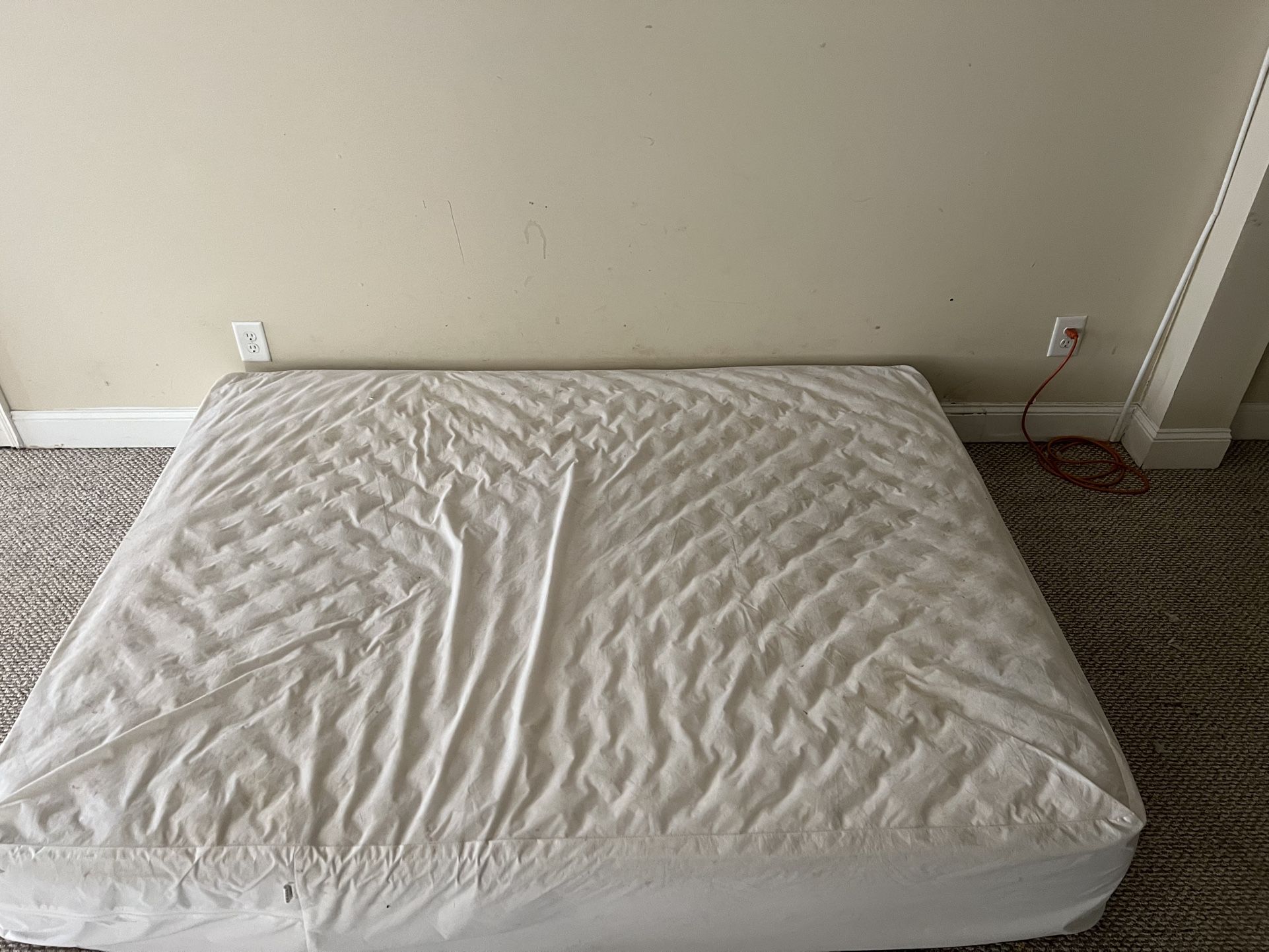 Dog Mattress