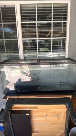 60 gal fish tank