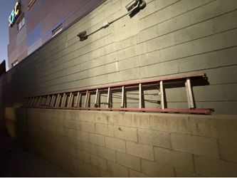 Heavy duty Extension Ladder