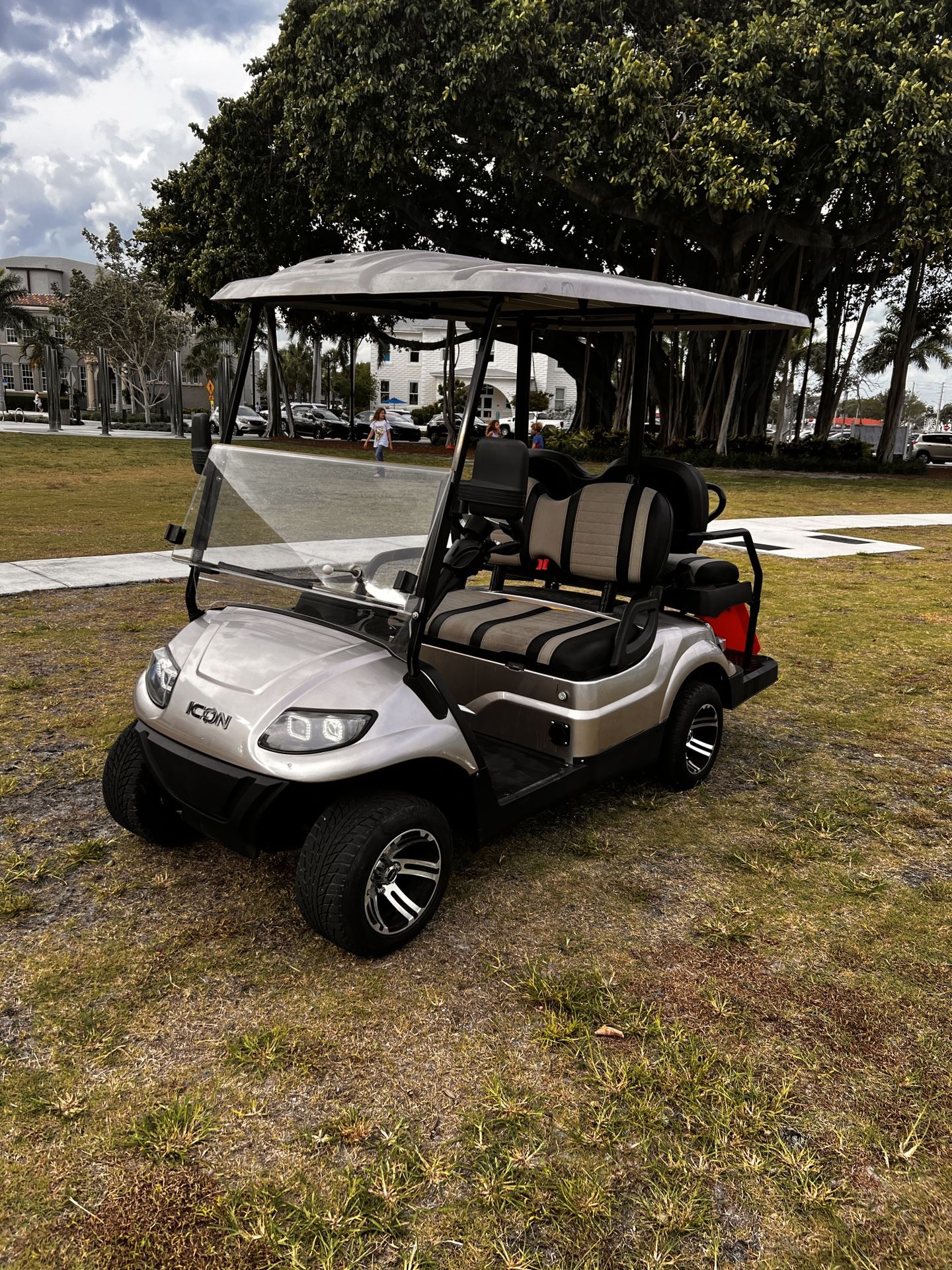 Golf Cart 4 Passenger Icon FAST 30 MPH