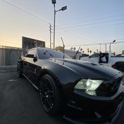 2011 Ford Shelby Gt500