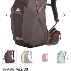 Gregory Hiking Back Pack 