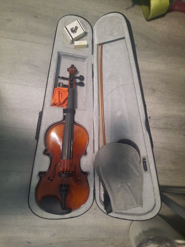 Violin