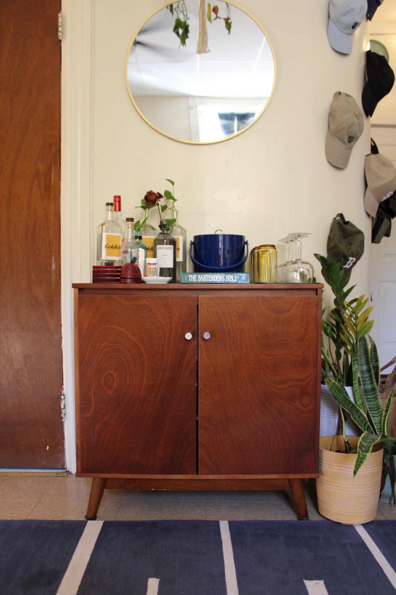 Mid Century Modern Cupboard