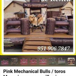 Toros  Mecanicos  / MECHANICAL  BULLS   Tables And  Chairs 