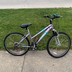 Schwinn Bike