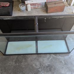 65 Gallon tank
