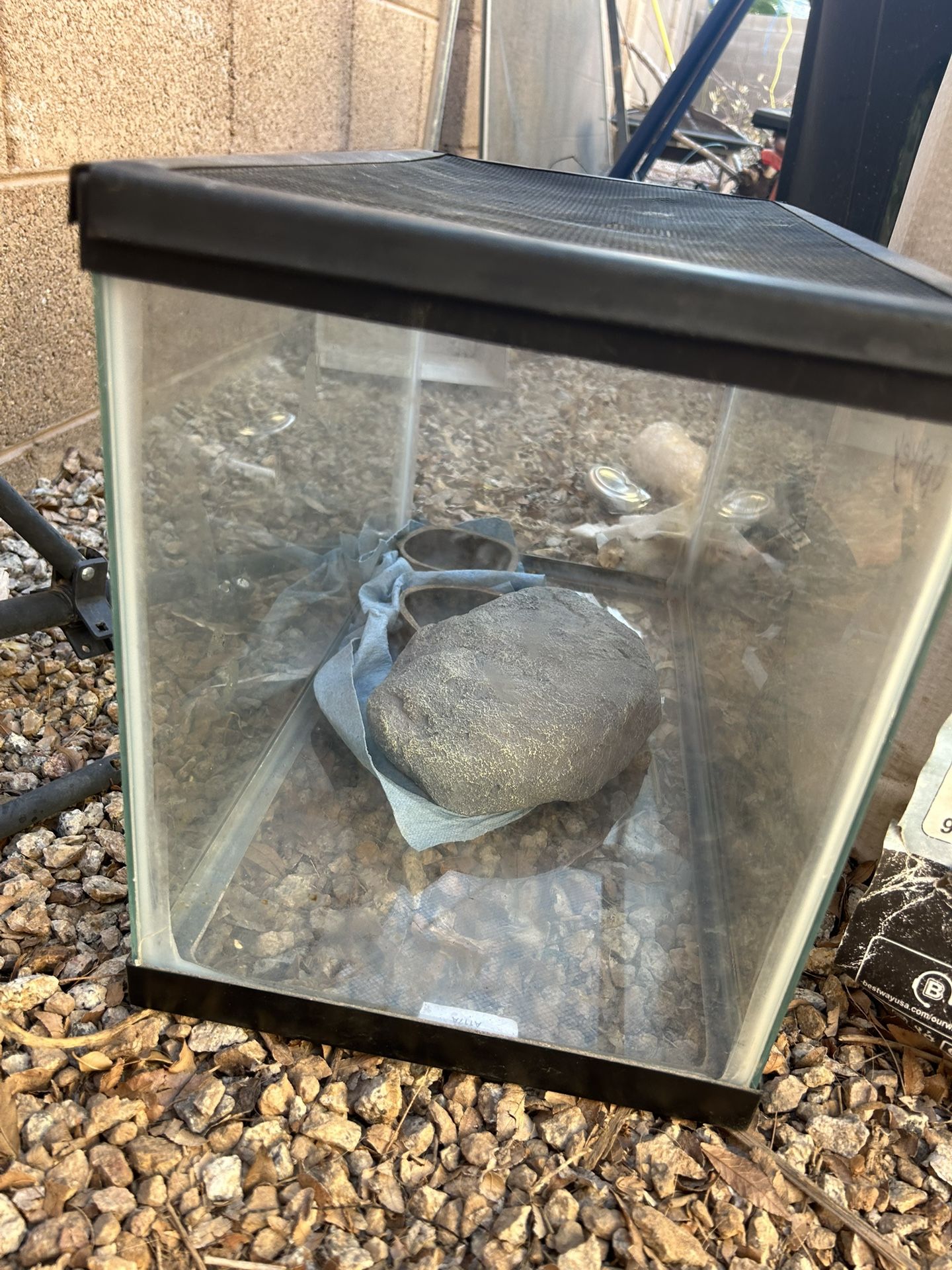 Small Reptile Tank