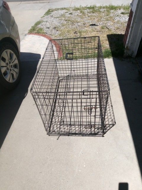 Large Dog 🐶 Crate