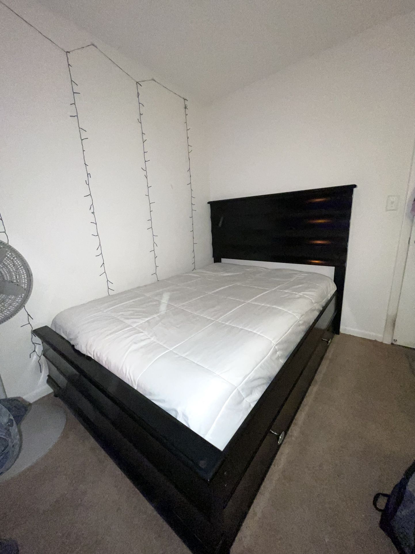 Full-sized trundle bed frame and Dresser for sale!