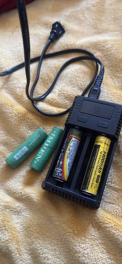 Batteries and dual charger