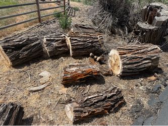 Free firewood