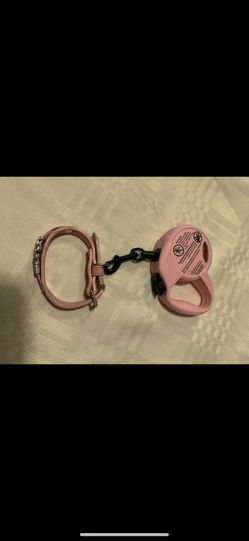 Pink Pet Leash Size XS -Small with Collar