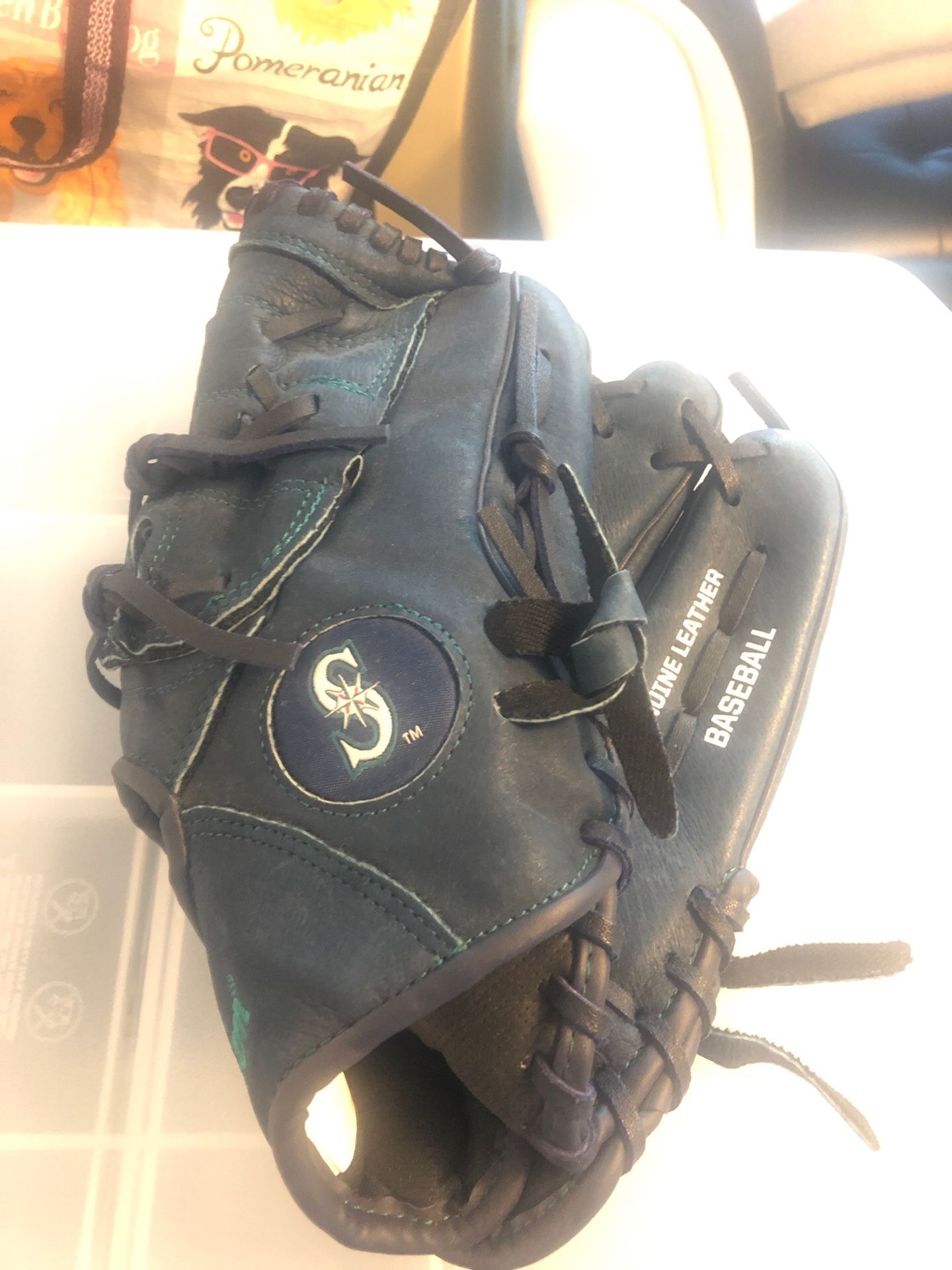 Mariners Baseball Glove