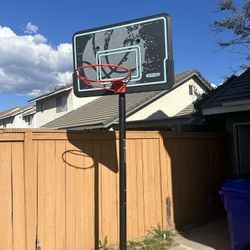 Basketball Hoop