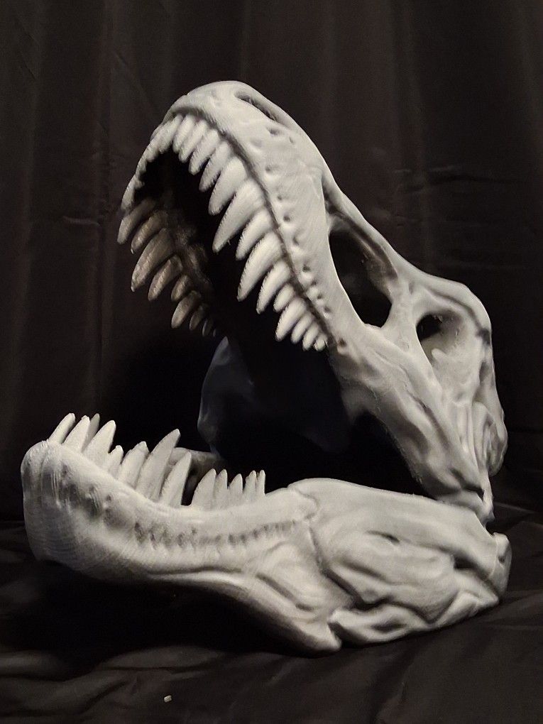 3D Printed T-Rex Skull