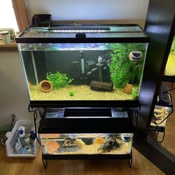 Fish Tank Rack