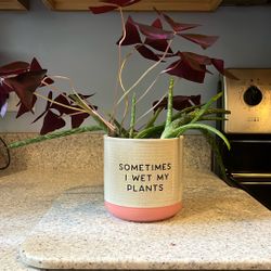 Planting 