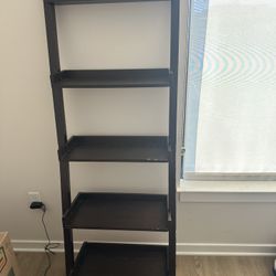 Ladder Bookshelf