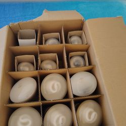 Light Bulbs bundle