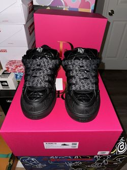 Dior X Erl B9s Skater Sneaker Limited Numbered New