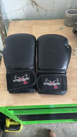 Century ILKB Boxing Gloves
