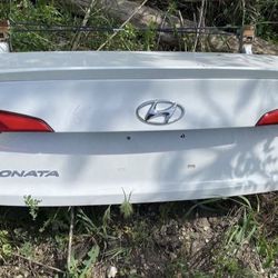 Hyundai Sonata ( Tailgate / Trunk Lid )