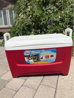 Igloo Island Breeze 48 Qt Cooler