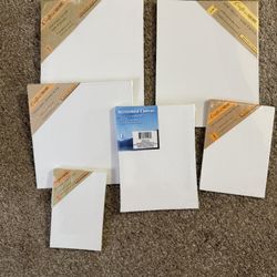 Stretched Canvas Assortment