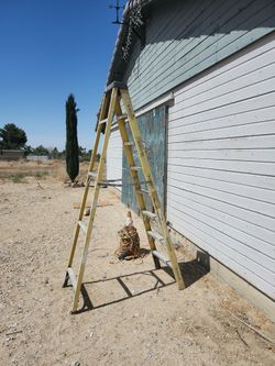 Husky 24 Foot Ladder