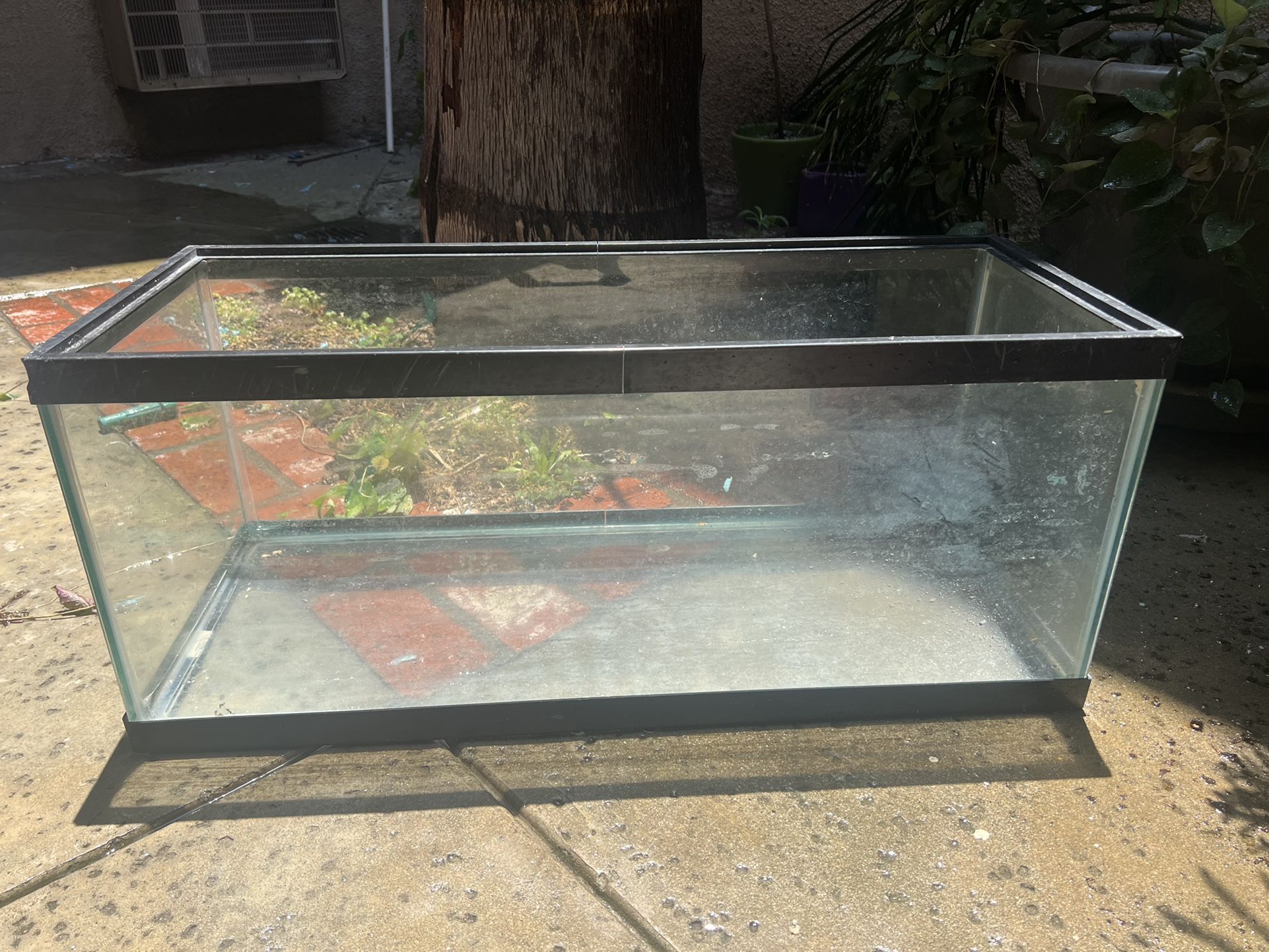 Fish Tank