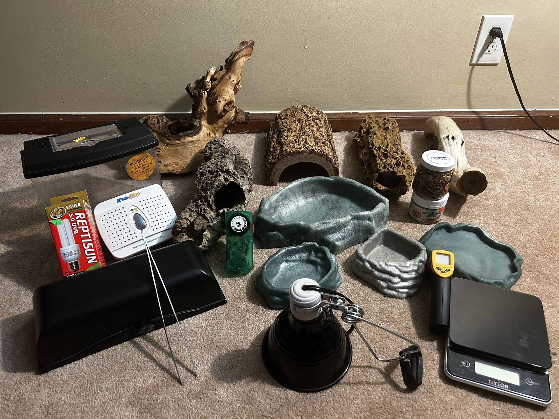 Bearded dragon accessories