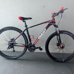 BICYCLE GIANT 21 SPEED SIZE-29 BRAND NEW 