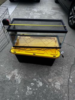 20 gallon tank