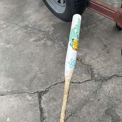 Proton slow pitch bat