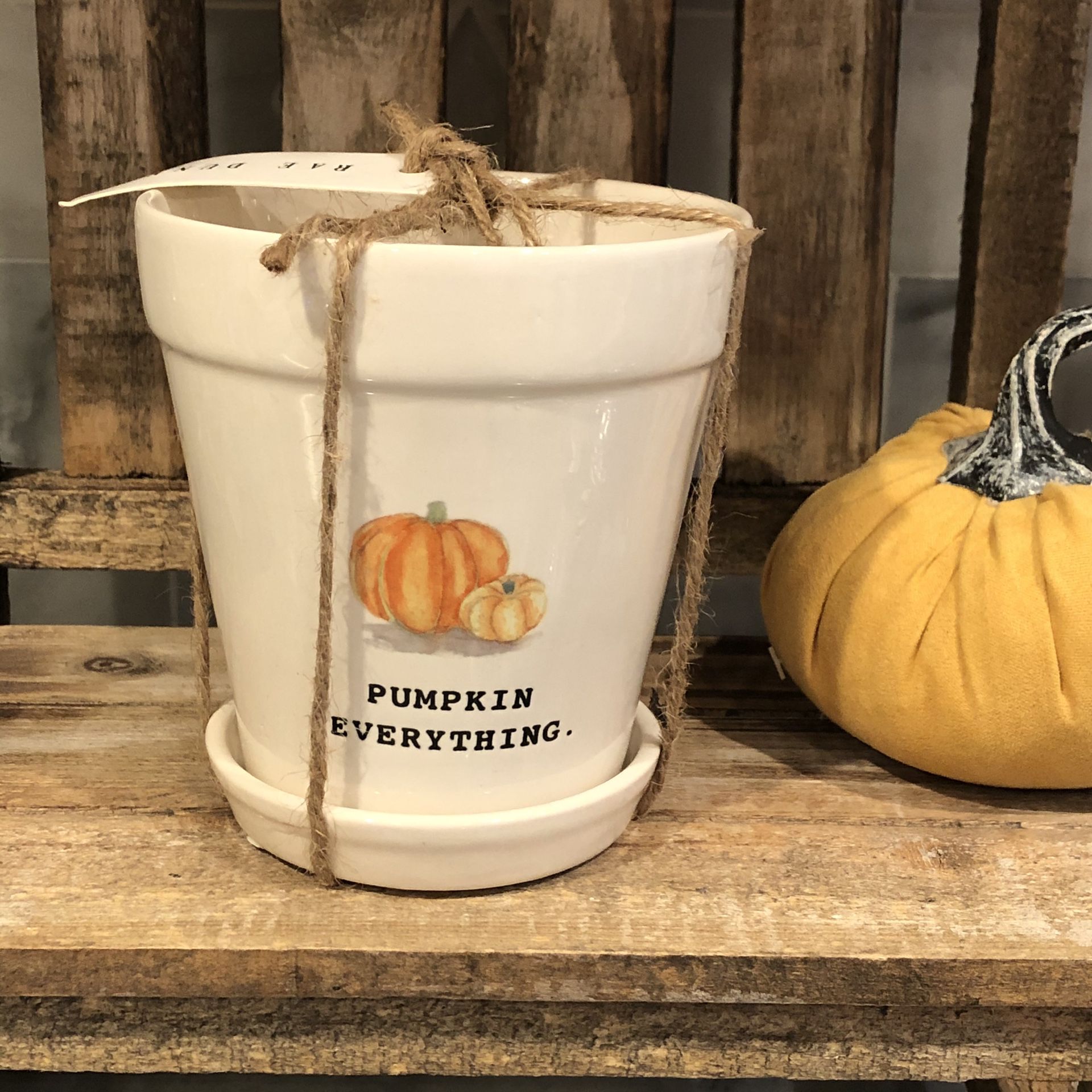New Magenta Rae Dunn Pumpkin Everything Fall Ceramic Planter / Flower Pot