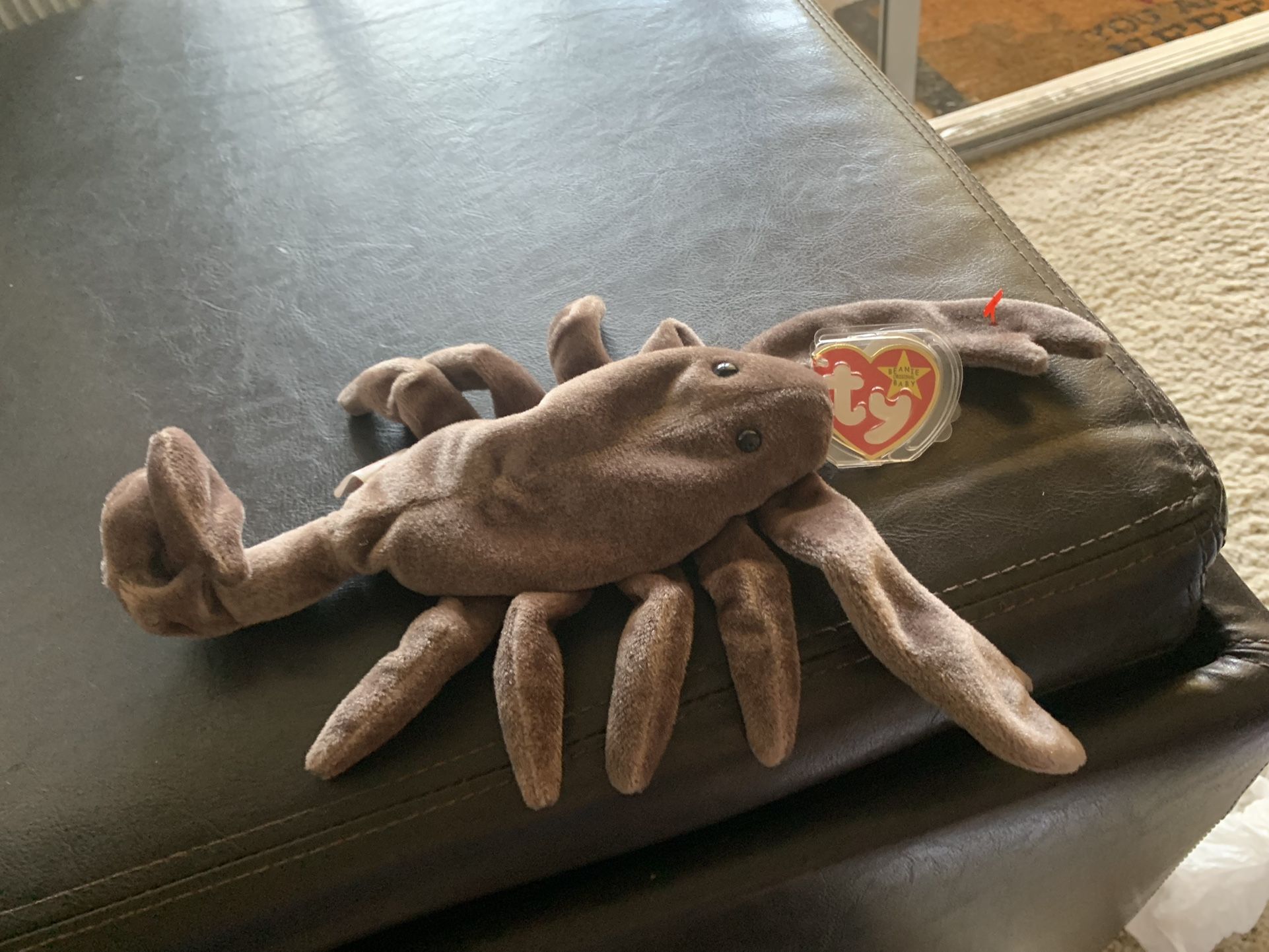 Stinger the scorpion 