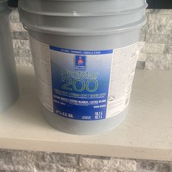 Full Unopened Paint