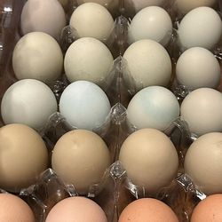 Organic Eggs