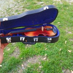 A Miniature Violin