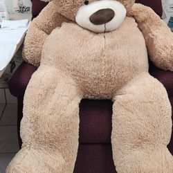 Huge Bear 🐻 