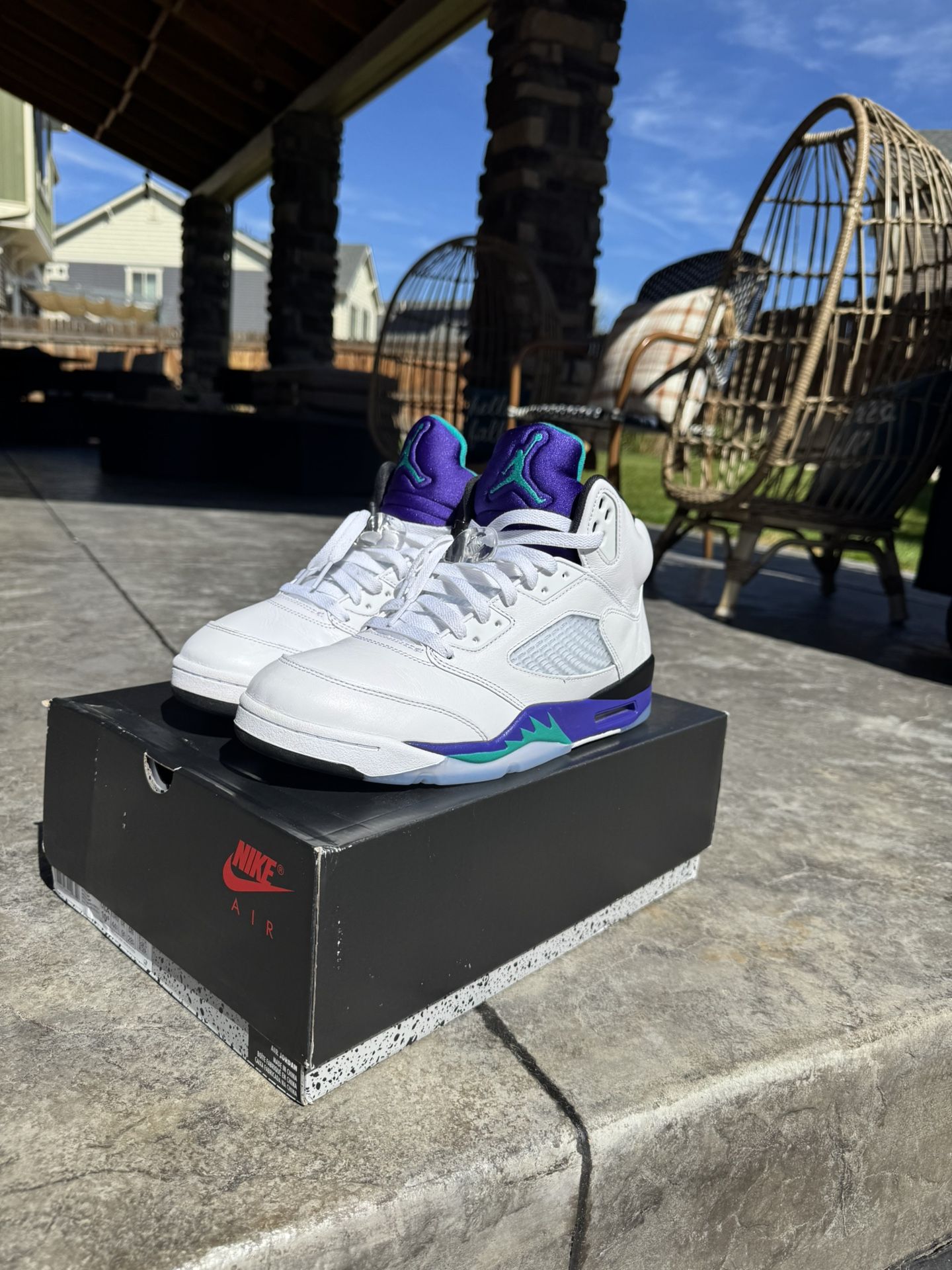 Jordan 5 Grape