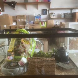 Reptile Tank
