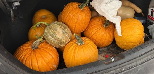Halloween pumpkin