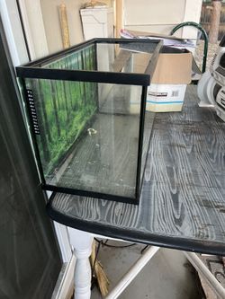 Open-Glass Glass Aquarium Tank