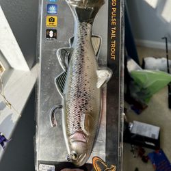 Fishing: 10”/8oz 3D Pulse tail trout