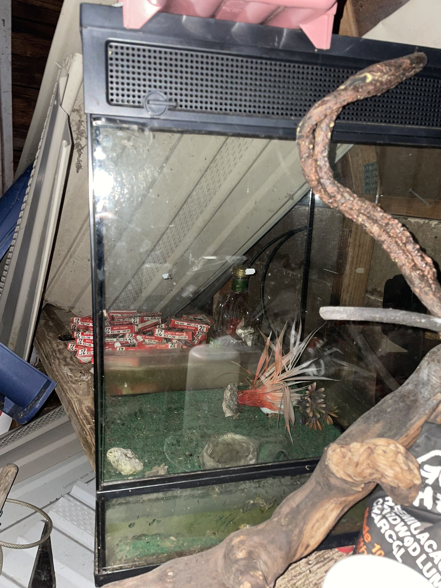 Terrarium