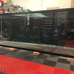 180 Gallon Aquarium 
